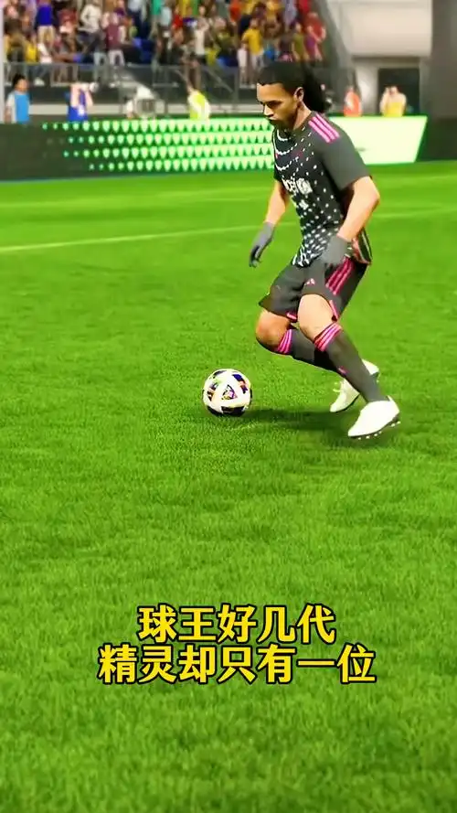 導理念